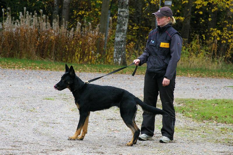 PK kurssi (6).jpg